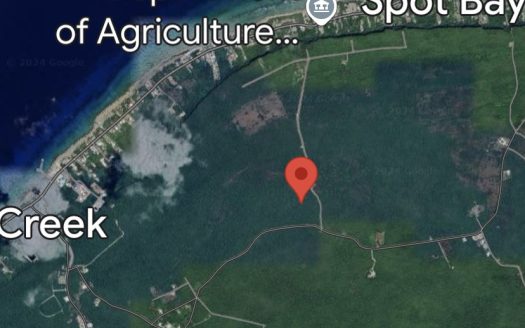 20 ACRES BRAC BLUFF LAND