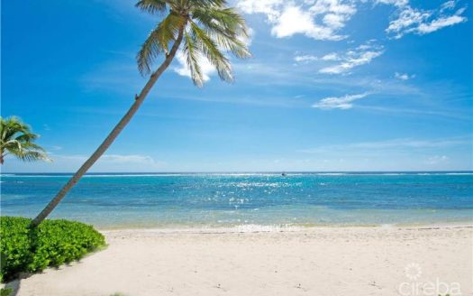 CARIBBEAN PARADISE 2