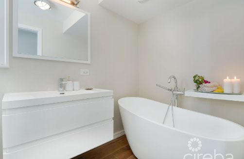 CARIBBEAN PARADISE 2