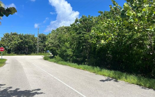 PRIME WEST END CAYMAN BRAC LAND PARCEL 100