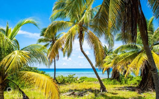 LITTLE CAYMAN 0.52 ACRES, BEACH FRONT