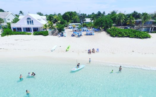 BOGGY SANDS CLUB TURTLE 2