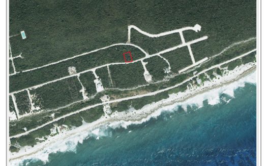 CAYMAN BRAC LAND – BOOBY BIRD DVE