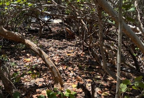 PRE-CONSTRUCTED SEAGLASS VILLA OCEANFRONT LAND