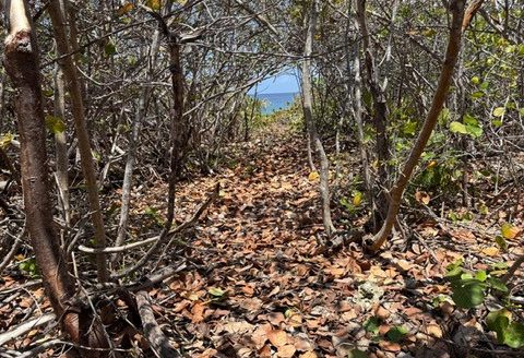 PRE-CONSTRUCTED SEAGLASS VILLA OCEANFRONT LAND