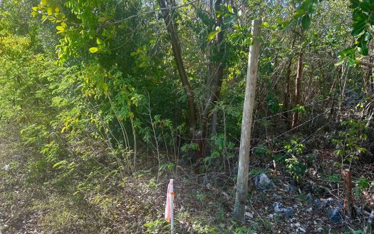 CAYMAN BRAC BLUFF LOT WITH FANTASTIC VIEWS
