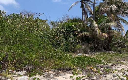 NORTHSIDE OCEAN FRONT AND INLAND PROPERTY