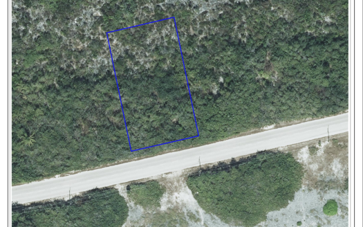 CAYMAN BRAC WEST LAND