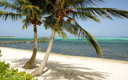 STUNNING OCEANFRONT LOT