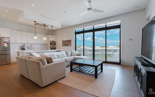 PENTHOUSE OLEA
