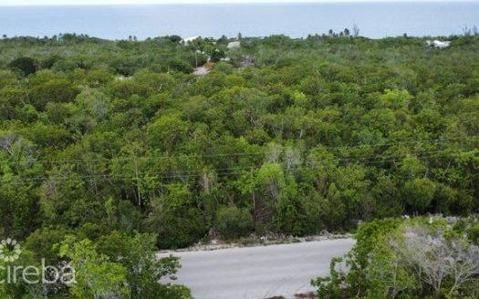 CAPT MABRY DR CAYMAN BRAC BLUFF OVERSIZED PARCEL