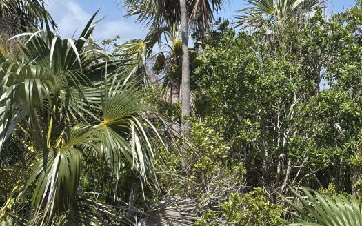 LITTLE CAYMAN LOT CLOSE TO POINT OF SAND