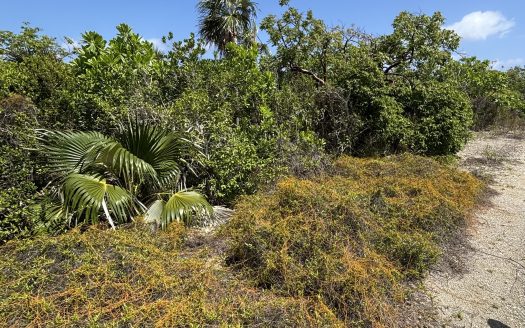 LITTLE CAYMAN LOT CLOSE TO POINT OF SAND