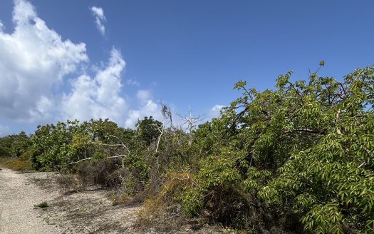 LITTLE CAYMAN LOT CLOSE TO POINT OF SAND
