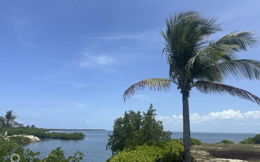 THE SHORES CANAL FRONT 0.4459ACRES – PRIME LOCATION