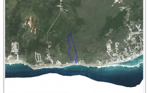 THE BLOW HOLES LOT #4