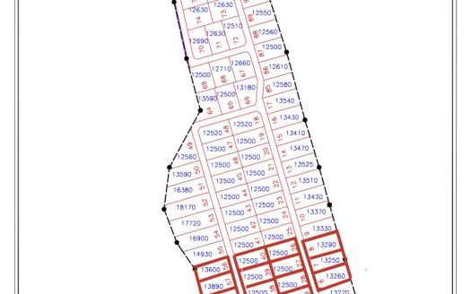 THE BLOW HOLES LOT #8