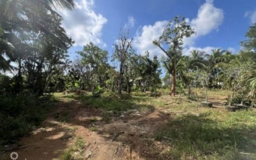 DEVELOPMENT OPPORTUNITY – HIGH & DRY LOT IN NORTHWARD –  .53 ACRES