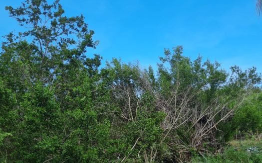 .3 ACRE LOT NORTH SIDE