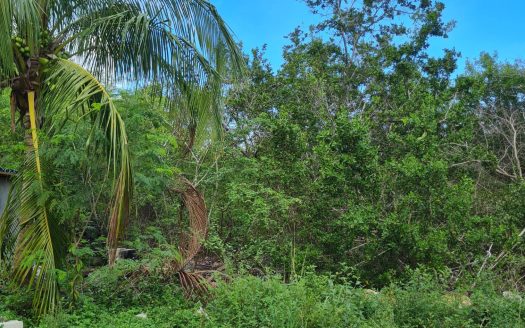 .3 ACRE LOT NORTH SIDE