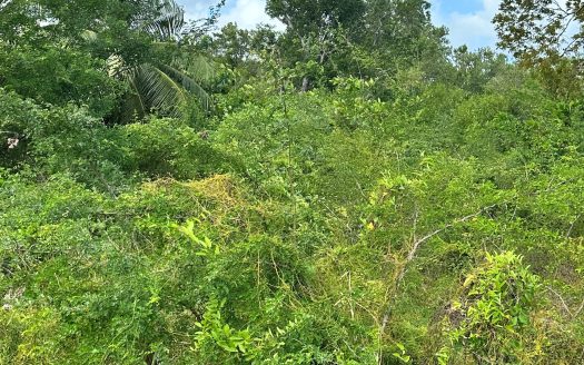 OVERSIZED HOUSE LOT, SERENITY LANE, FRANK SOUND ROAD