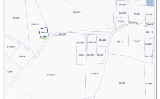MASTIC TRAIL LOT MASTIC TRAIL LOT