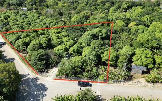 RARE 1-ACRE FARM PARADISE IN UP-AND-COMING HIGH ROCK – EAST END’S HOTTEST FARMING LOCATION