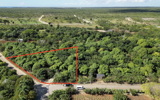 RARE 1-ACRE FARM PARADISE IN UP-AND-COMING HIGH ROCK – EAST END’S HOTTEST FARMING LOCATION RARE 1-ACRE FARM PARADISE IN UP-AND-COMING HIGH ROCK – EAST END’S HOTTEST FARMING LOCATION