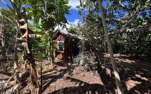 RARE 1-ACRE FARM PARADISE IN UP-AND-COMING HIGH ROCK – EAST END’S HOTTEST FARMING LOCATION