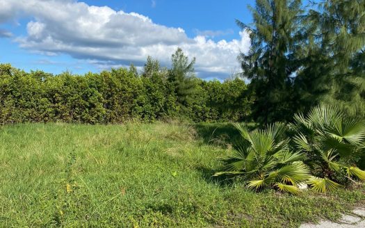 PEASE BAY LAKES LAKEFRONT LOT