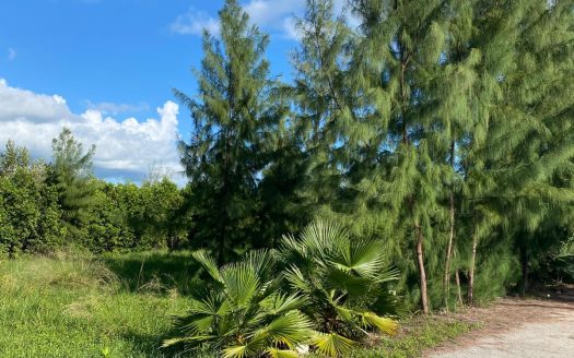 PEASE BAY LAKES LAKEFRONT LOT