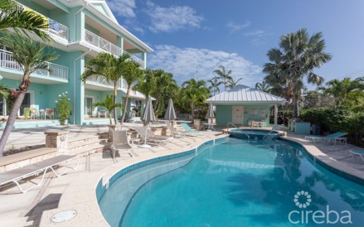 COMPASS POINT PHASE 2 #225 – WEEKS 26, 27, 28, 39, 40