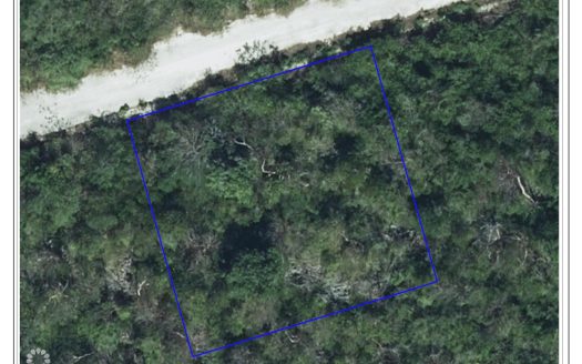 CAYMAN BRAC BLUFF LOT – BOOBY BIRD DR.