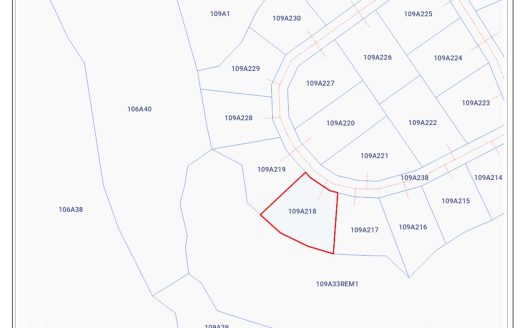 CAYMAN BRAC BLUFF LOT (.2901 ACRE)