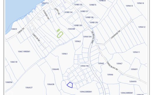 CAYMAN BRAC BLUFF LOT (.2901 ACRE)