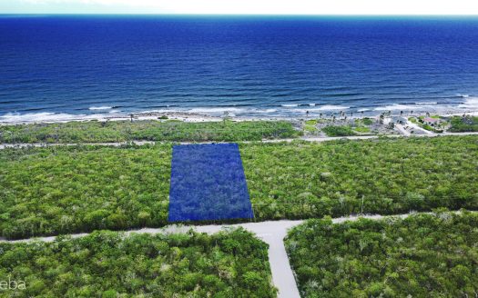 CAYMAN BRAC BLUFF EDGE TWO