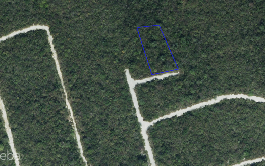 SELWORTHY GROVE CAYMAN BRAC (LARGE .37 ACRE LOT)