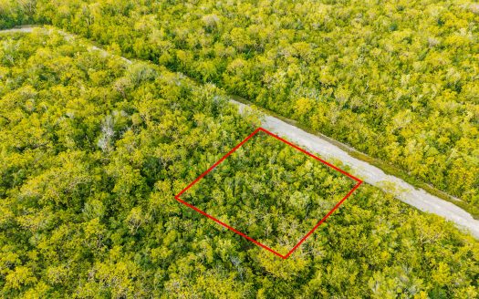 BRAC HOUSE LOT 0.2345