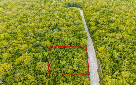 BRAC HOUSE LOT 0.2345