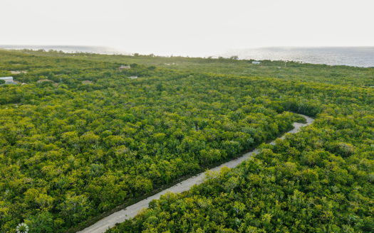 BRAC HOUSE LOT 0.2345