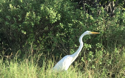 LITTLE CAYMAN LOT NEAR POINT OF SANDS