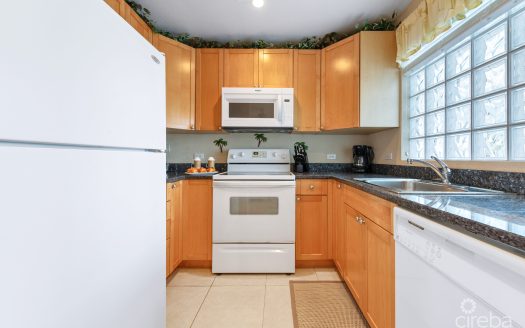 NORTH POINTE BEACHFRONT CONDO