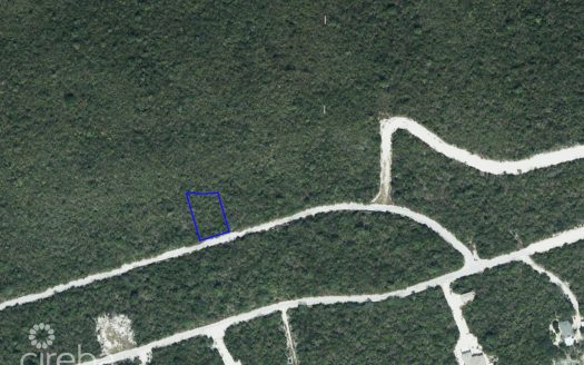 SELWORTHY GROVE 0.29 ACRES, CAYMAN BRAC