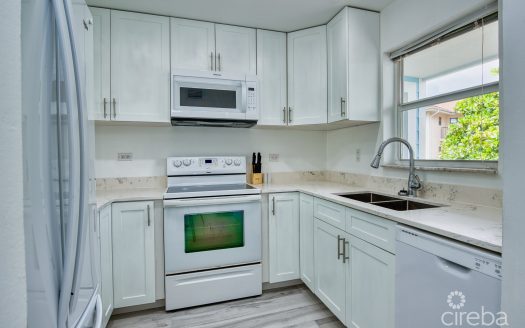 GRAPE TREE CONDO SEVEN MILE BEACH