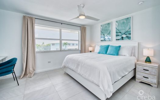 GRAPE TREE CONDO SEVEN MILE BEACH