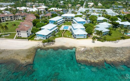 GRAPETREE #3 GRAPETREE #3