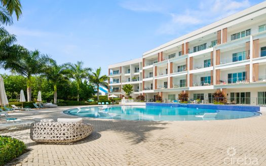 AURA PENTHOUSE #404 AURA PENTHOUSE #404