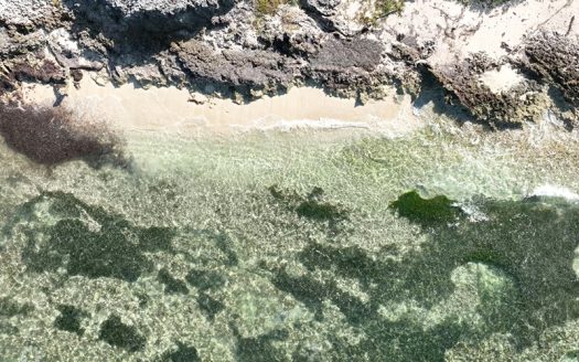 NORTH EAST COAST OCEAN FRONT LAND