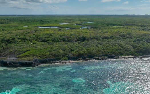 NORTH EAST COAST OCEAN FRONT LAND