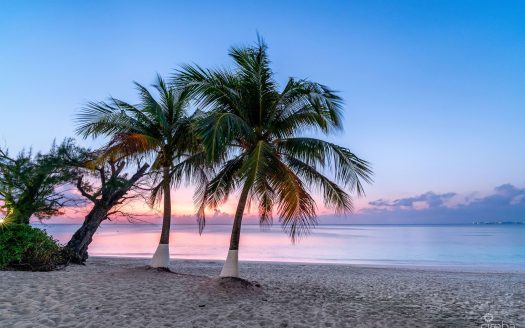 BEACHFRONT BLISS AT CAYMAN CLUB | SEVEN MILE BEACH